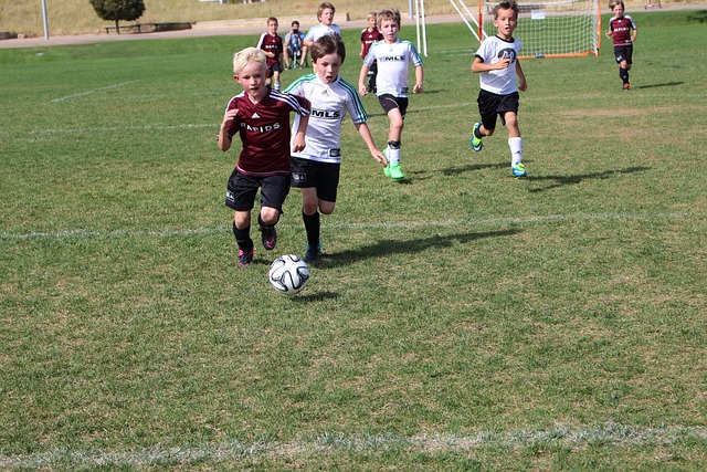 许多人都在 许多人都在