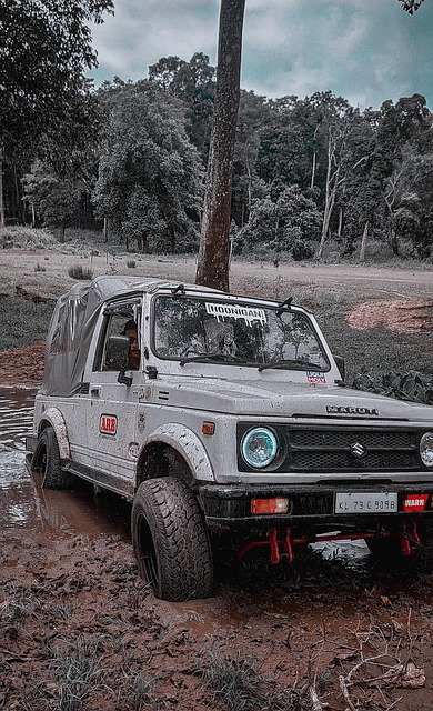 视的因素是 视的因素是