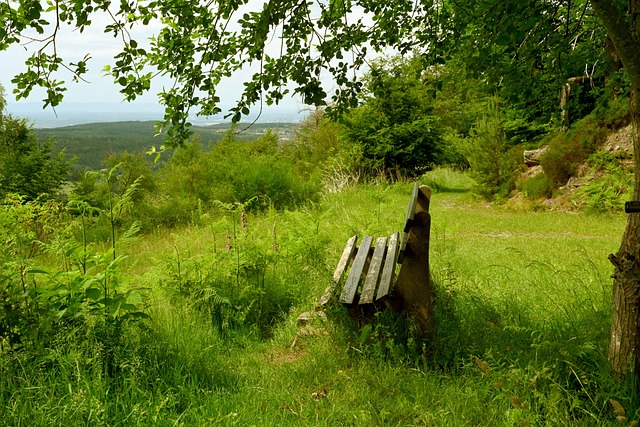 俱乐部的关 俱乐部的关