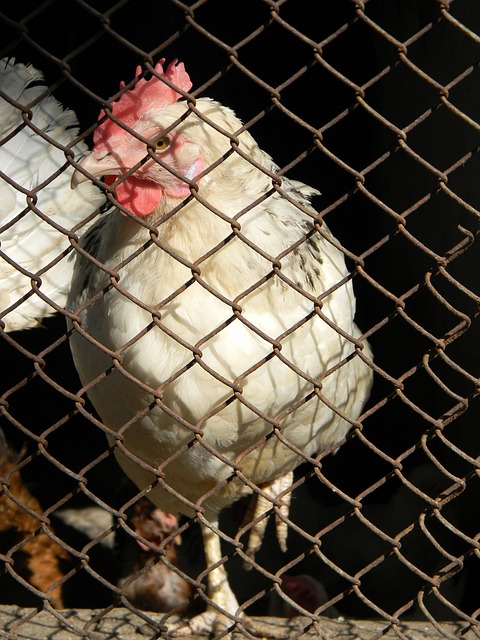 投入比赛 投入比赛