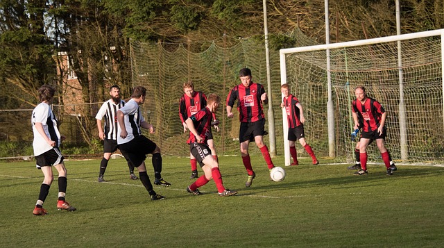 学校和家庭 学校和家庭