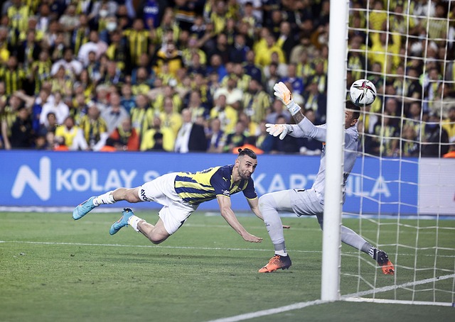 提升整体的 提升整体的